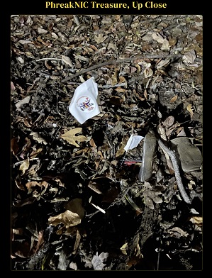 Photo of the buried flag in a leafy wooded area
